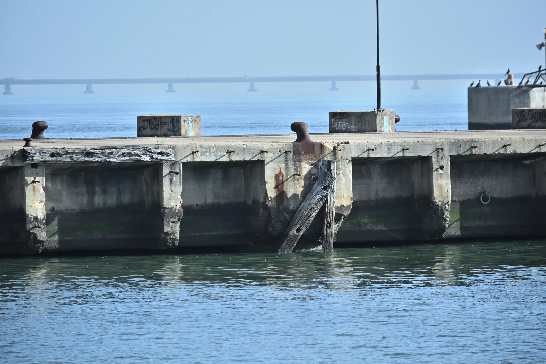 Structure of old abandoned docks on the Tagus river